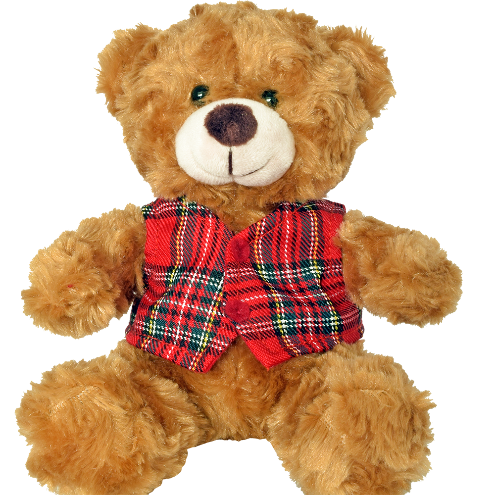 Teddy with Red Tartan Waistcoat - 18cm