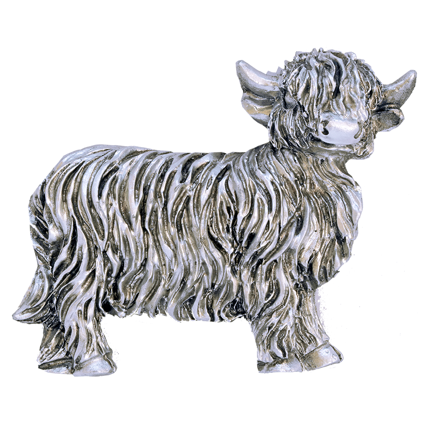 Silver Coo Magnet