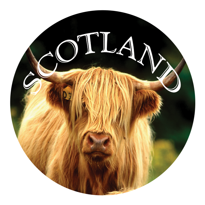 Highland Coo 5cm Glass Magnet