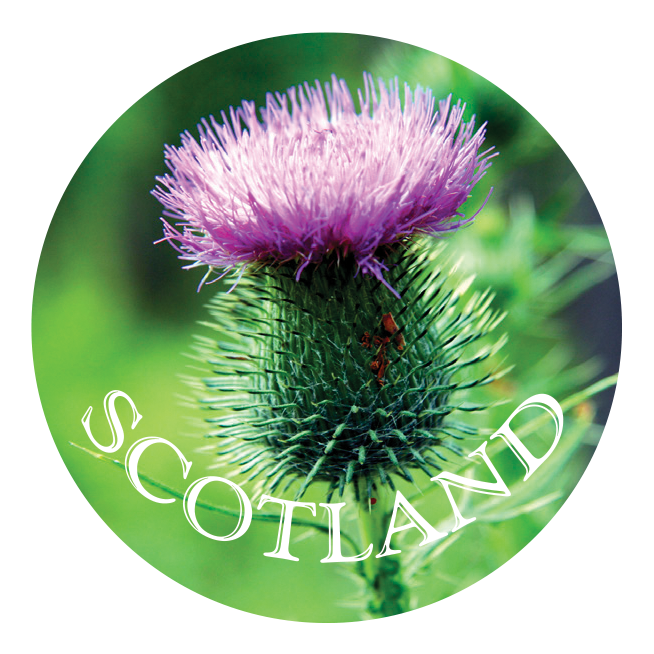 Thistle 5cm Glass Magnet