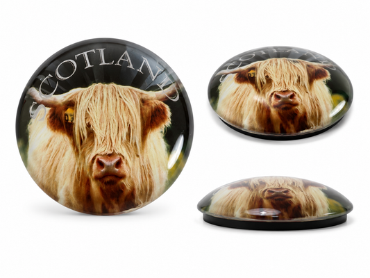 Highland Coo 5cm Glass Magnet