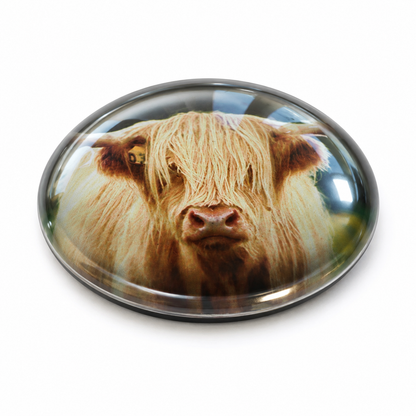 Highland Coo 5cm Glass Magnet