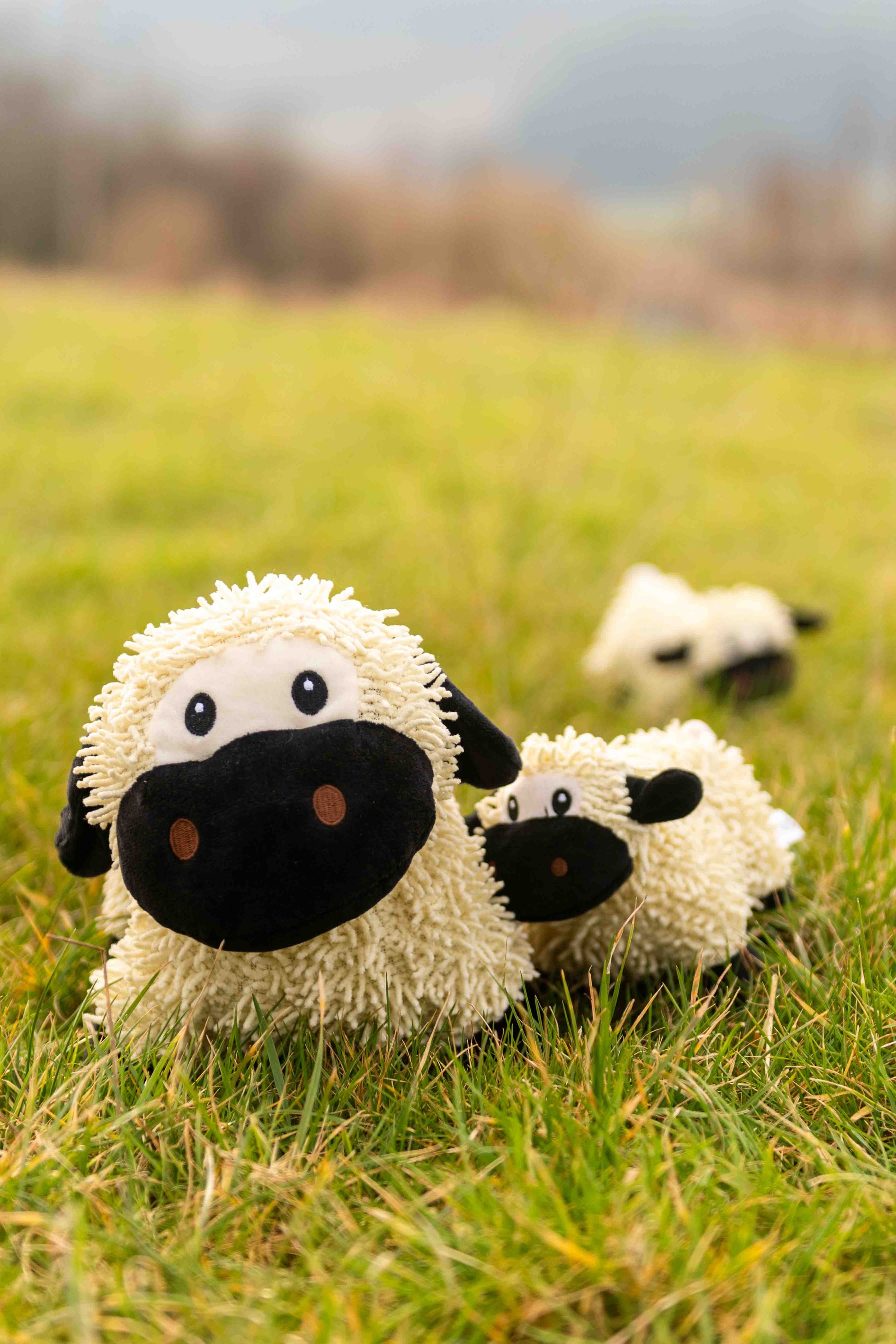 Two fluffy sheep plush toys in a grassy field with a blurred background