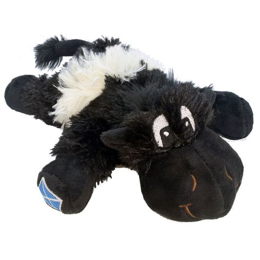 Belted Galloway Coo
