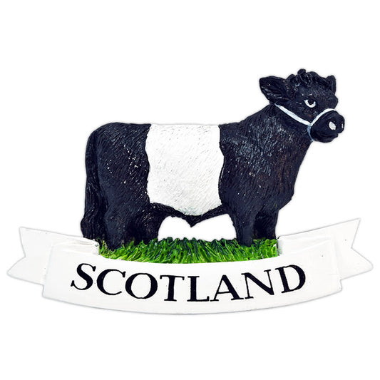Belted Galloway Magnet