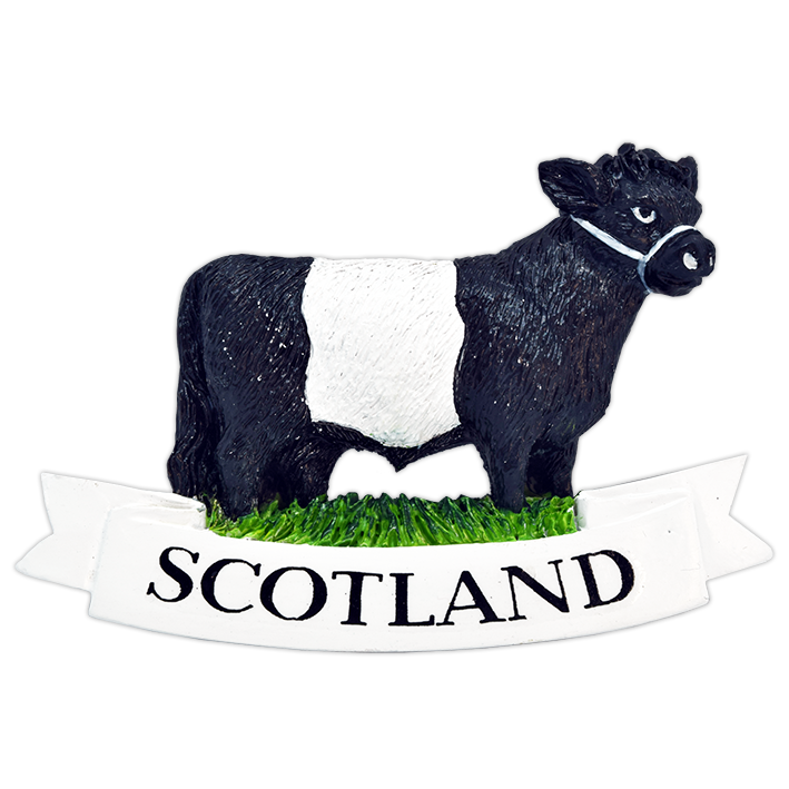 Belted Galloway Magnet