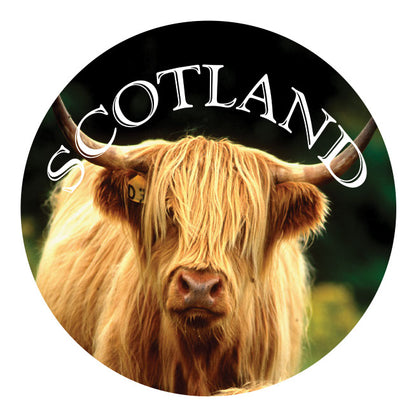 Highland Coo 5cm Glass Magnet