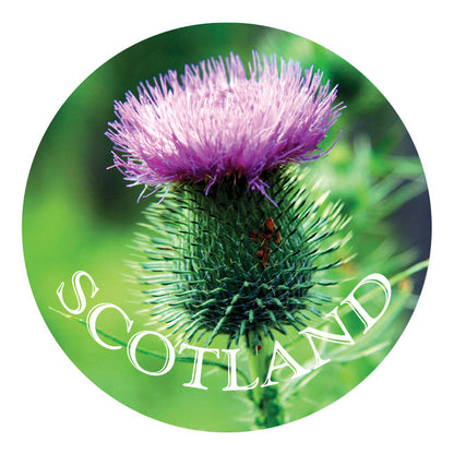 Thistle 5cm Glass Magnet