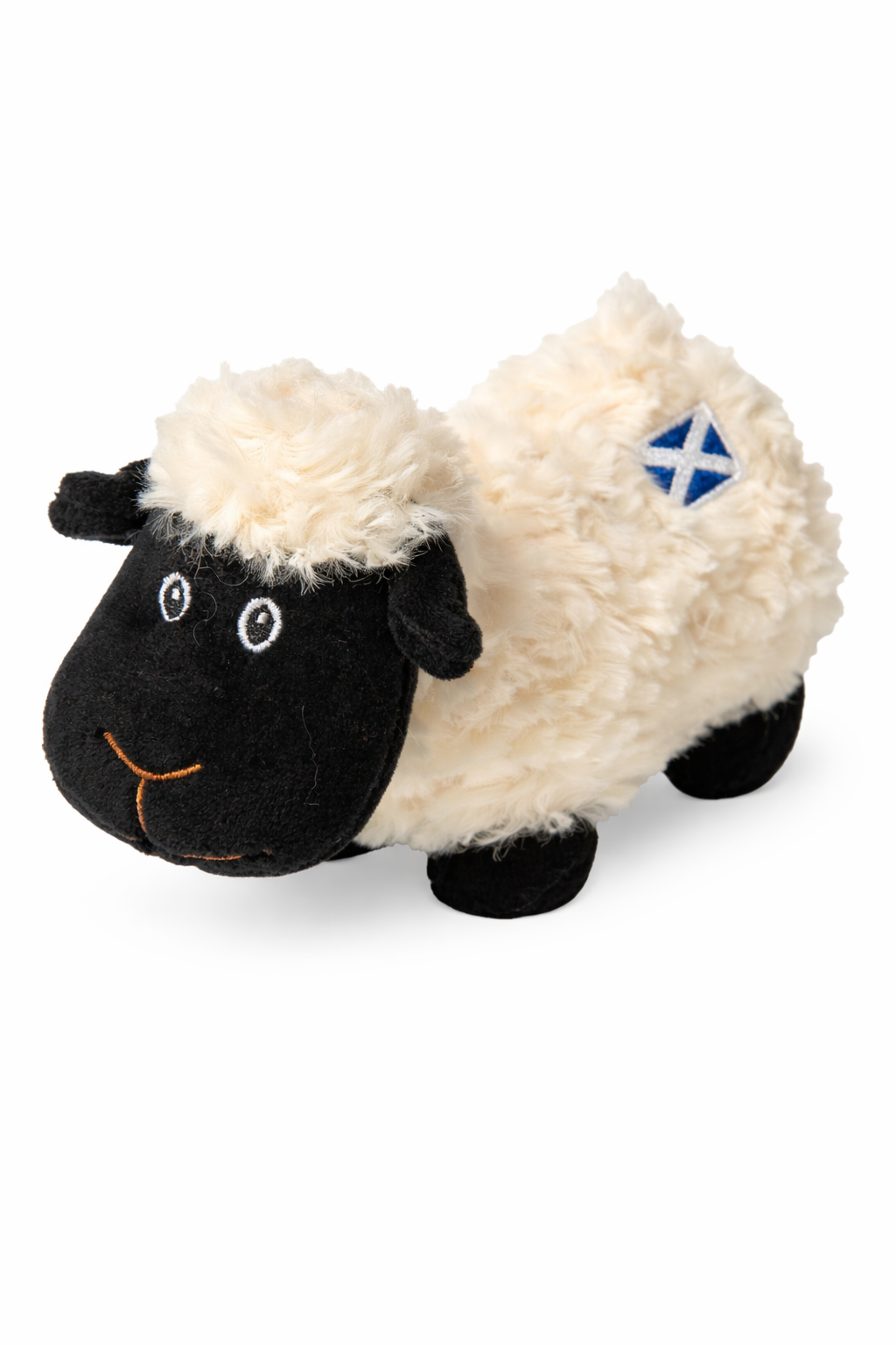 Small Scottish Sheep